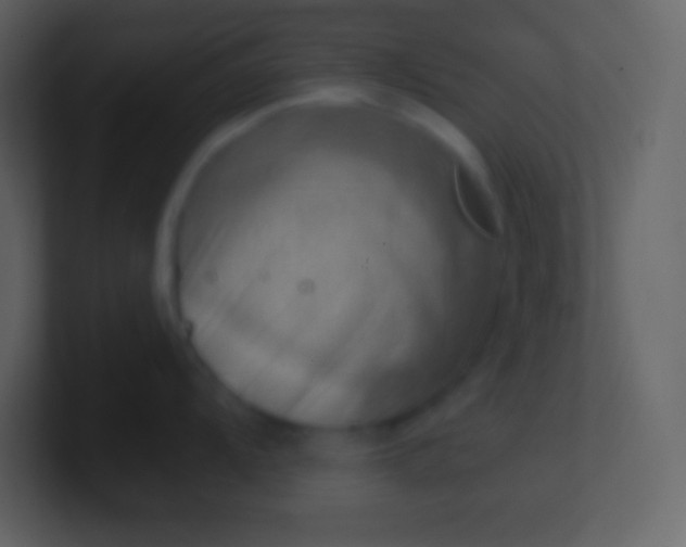 X0000100931104200807081207