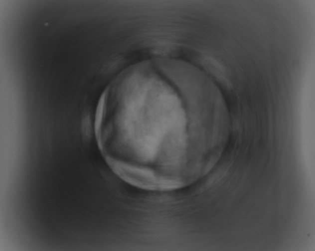 X0000100931106200807081207