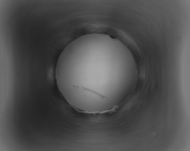 X0000100931108200807081207