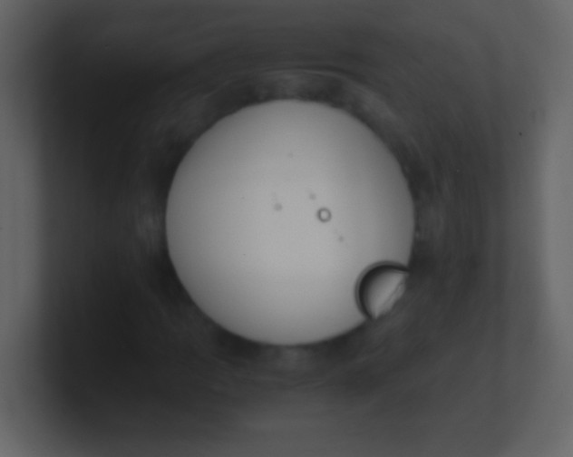 X0000100931109200807081207