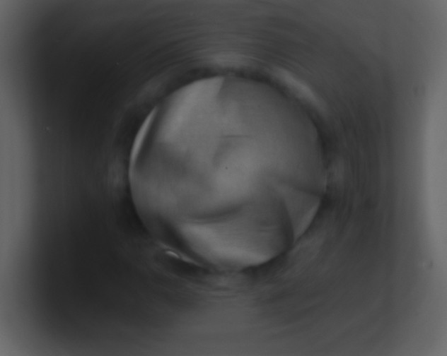 X0000100931110200807081207