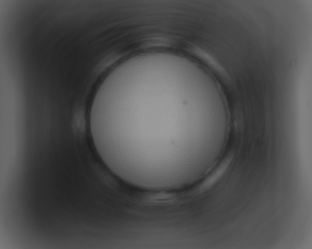 X0000100931113200807081207