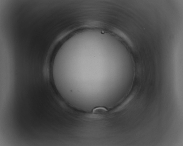 X0000100931114200807081207