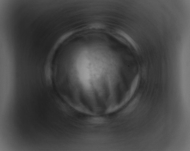 X0000100931115200807081207