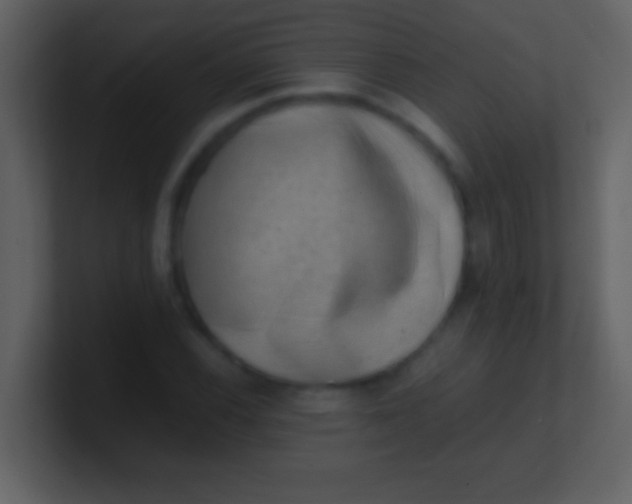 X0000100931116200807081207