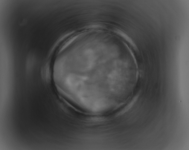 X0000100931117200807081207