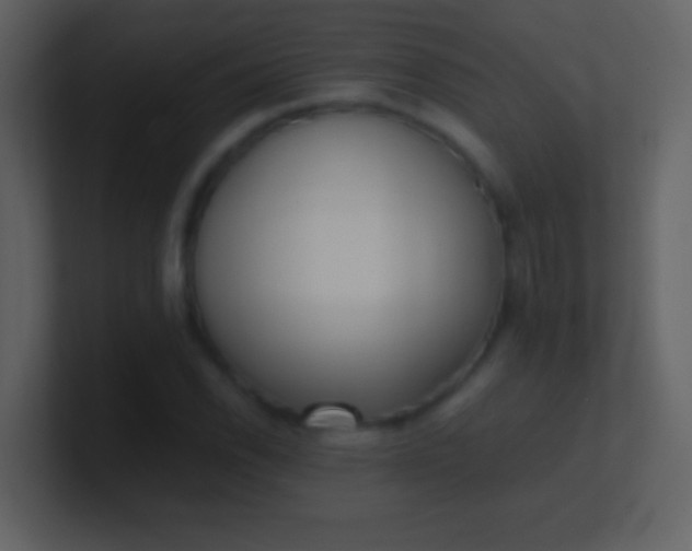 X0000100931118200807081207