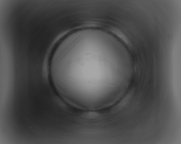 X0000100931119200807081207