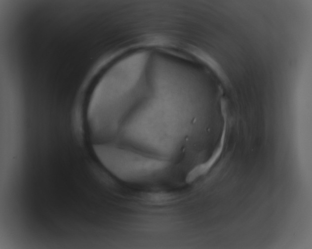 X0000100931120200807081207