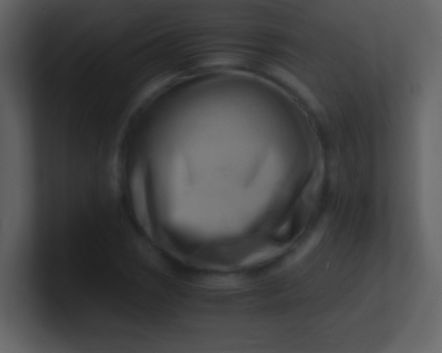 X0000100931121200807081207