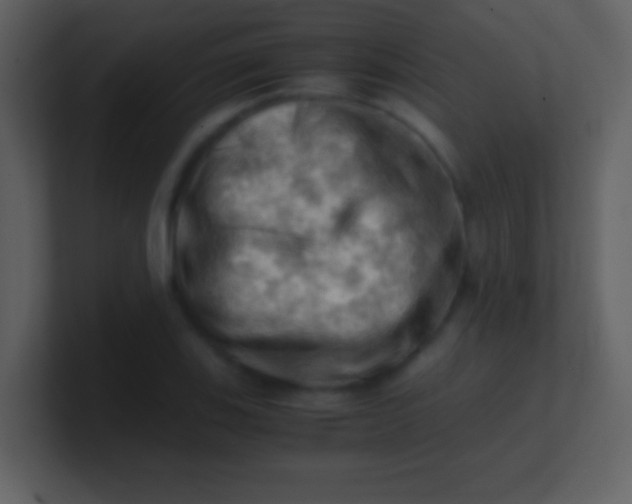 X0000100931123200807081207