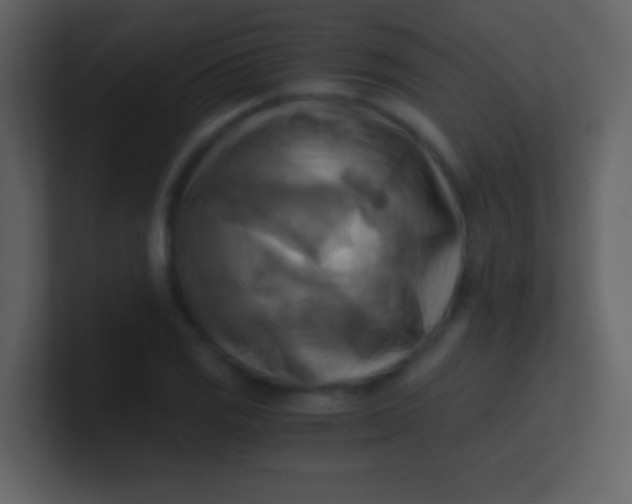 X0000100931125200807081207