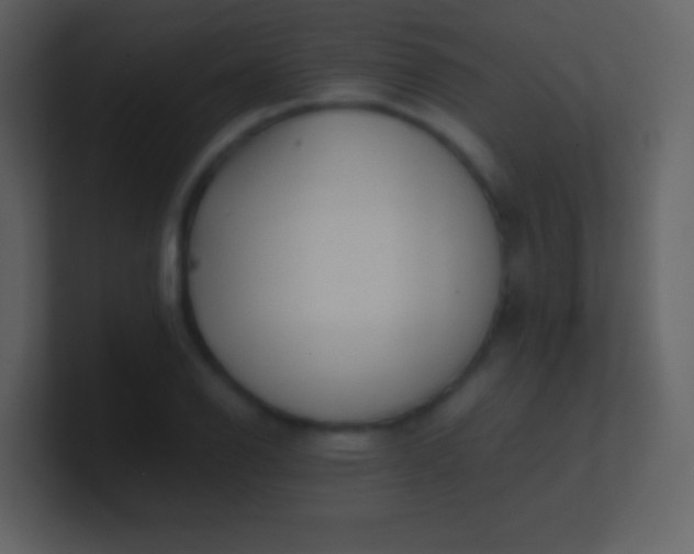 X0000100931126200807081207