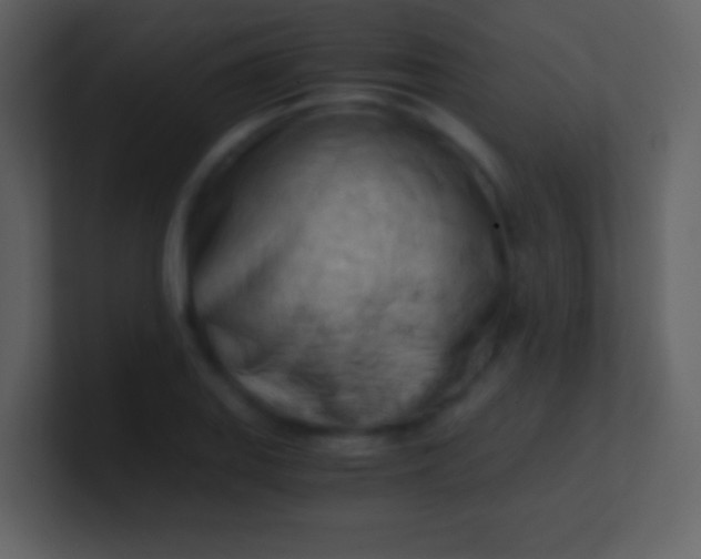 X0000100931127200807081207