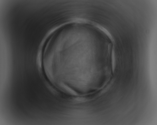 X0000100931128200807081207