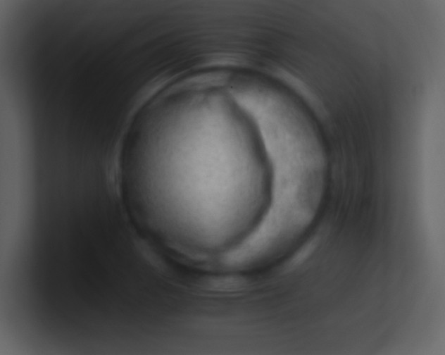 X0000100931129200807081207