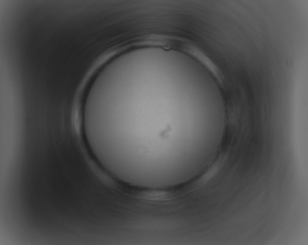 X0000100931131200807081207