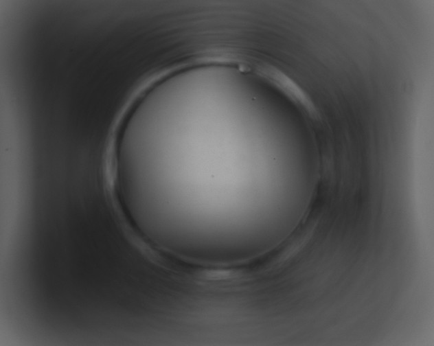 X0000100931132200807081207