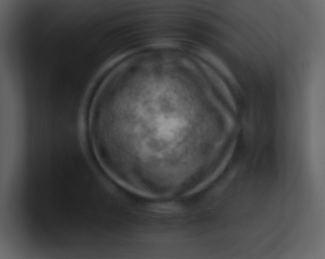 X0000100931133200807081207