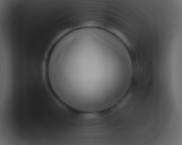 X0000100931134200807081207