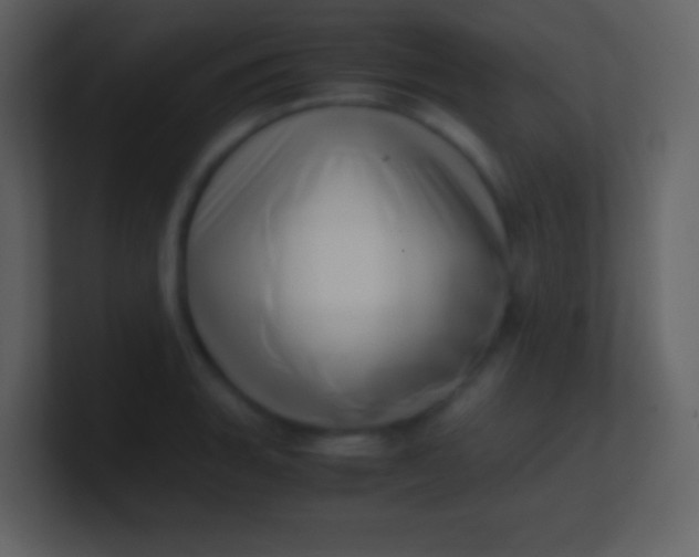 X0000100931135200807081207