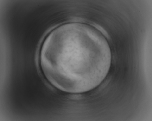 X0000100931136200807081207