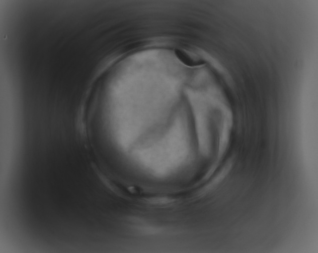 X0000100931137200807081207