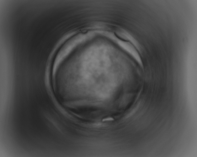 X0000100931139200807081207