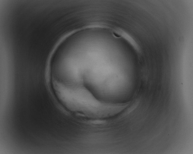 X0000100931140200807081207