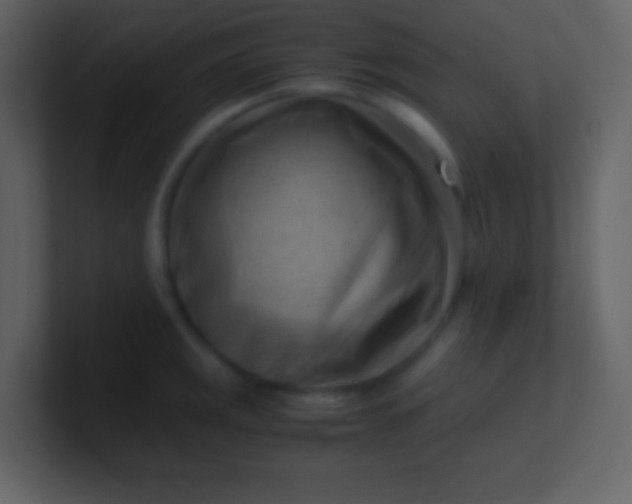 X0000100931141200807081207