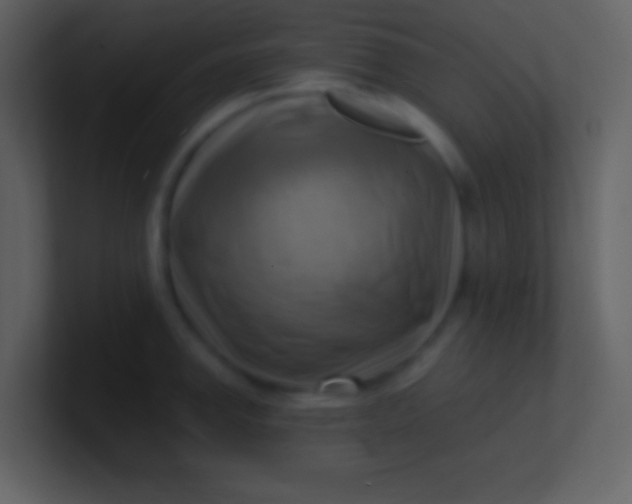 X0000100931142200807081207