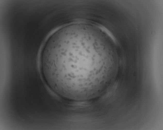 X0000100931143200807081207