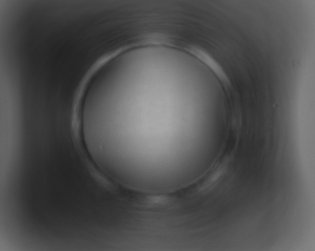 X0000100931144200807081207