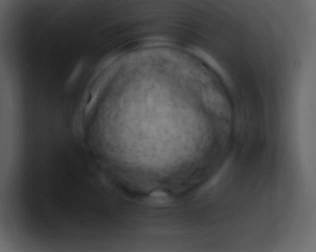 X0000100931145200807081207