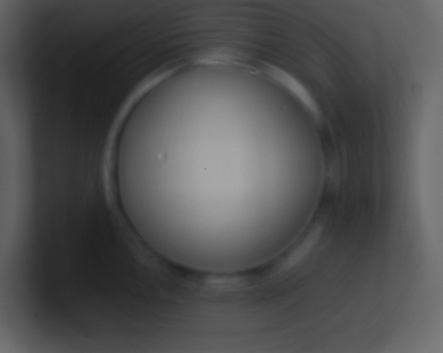 X0000100931146200807081207