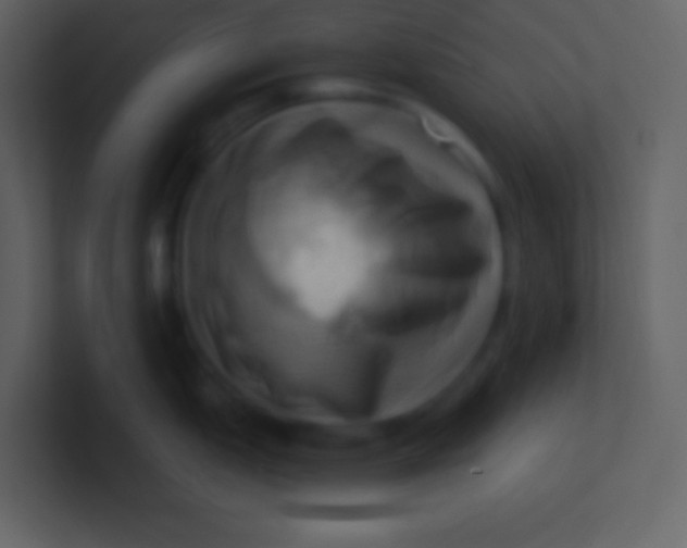 X0000100931151200807081207