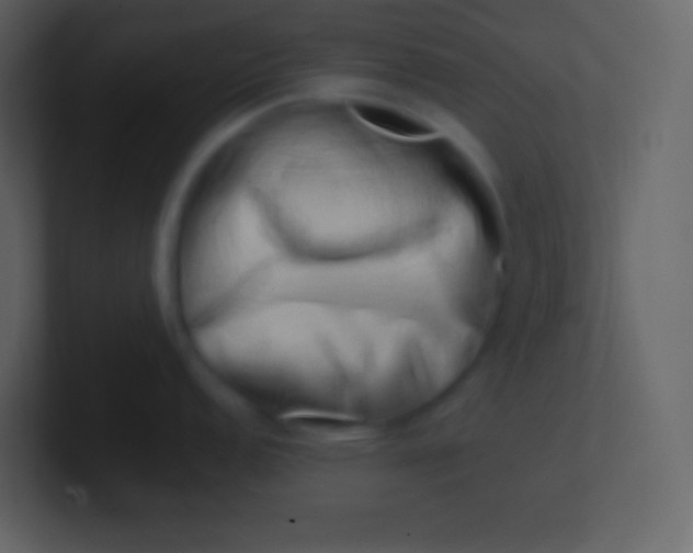 X0000100931152200807081207