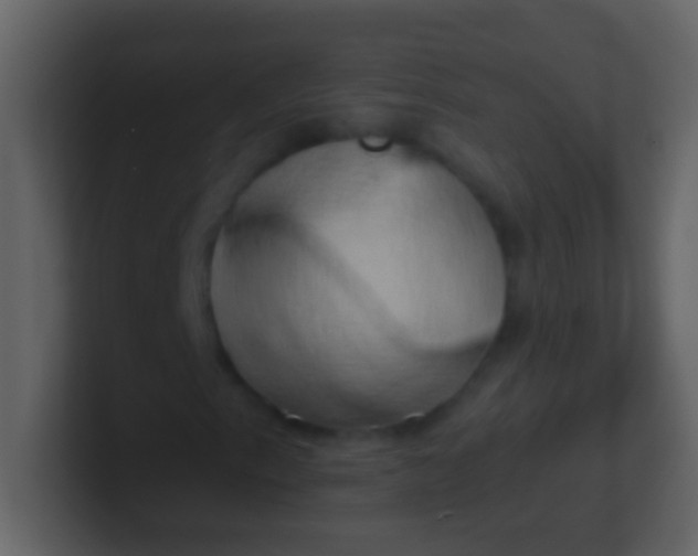 X0000100931153200807081206