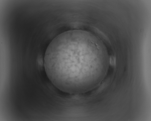 X0000100931155200807081206