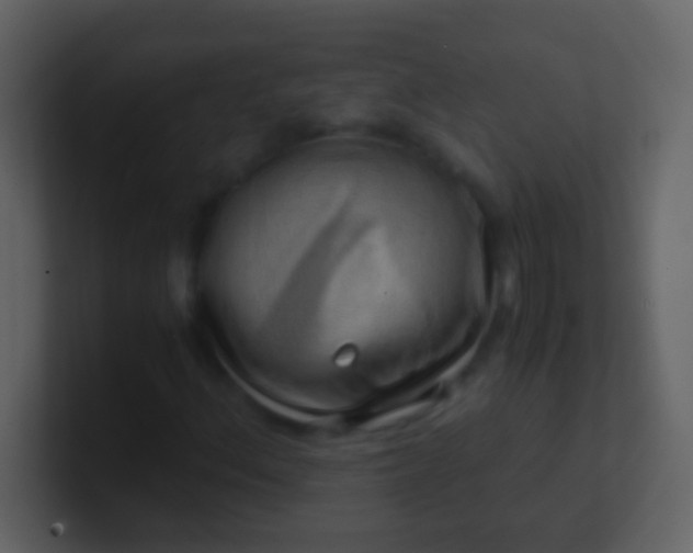 X0000100931156200807081206