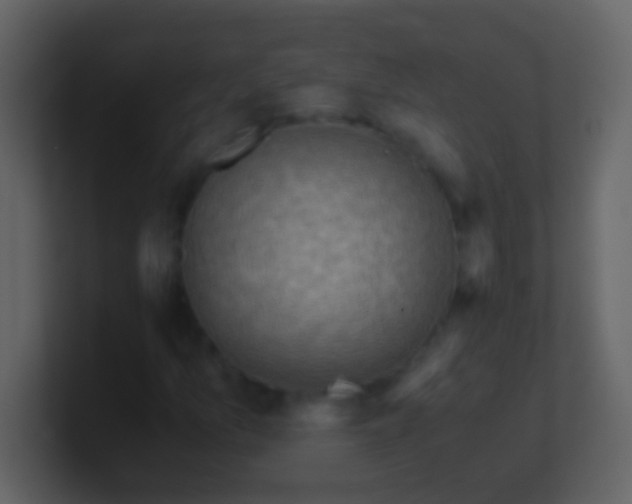 X0000100931157200807081206