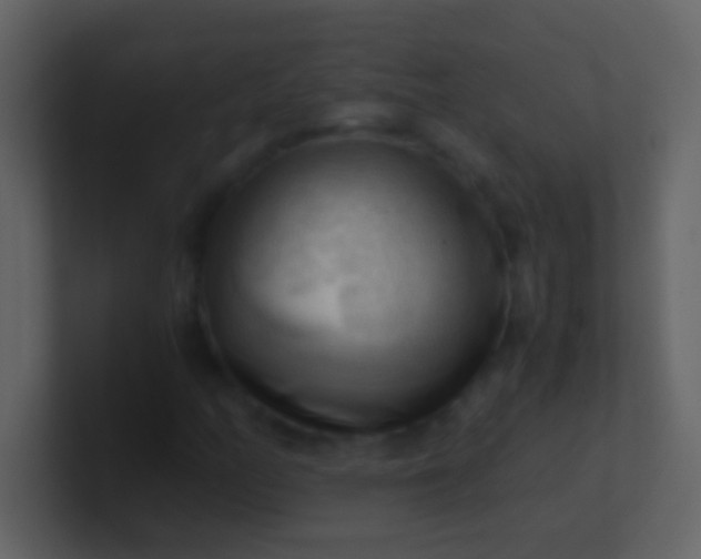 X0000100931158200807081206