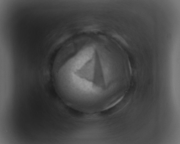 X0000100931159200807081206