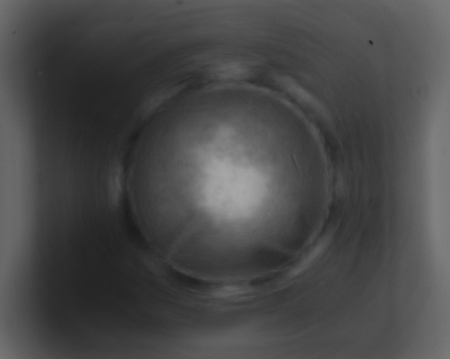 X0000100931161200807081206