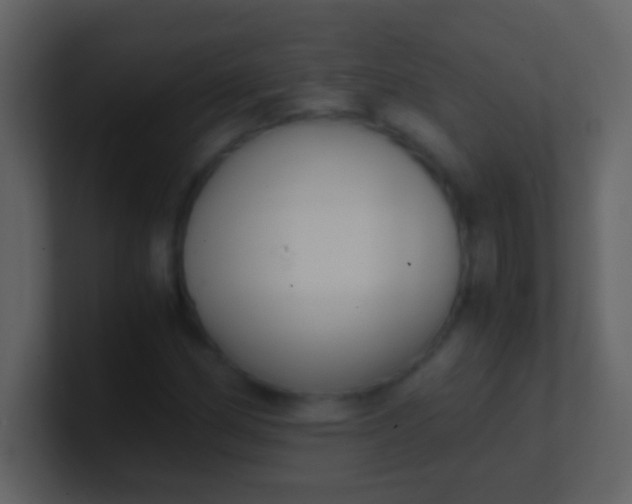 X0000100931162200807081206