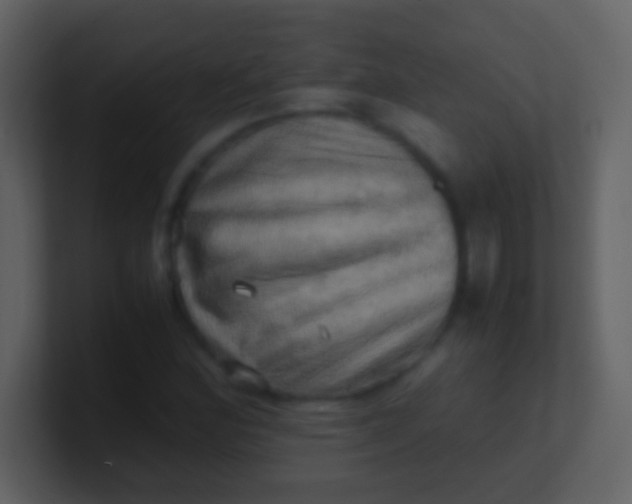 X0000100931164200807081206