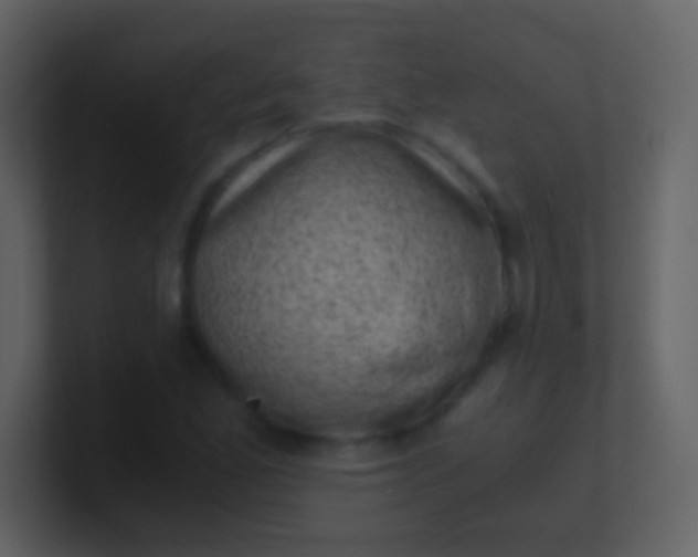 X0000100931165200807081206