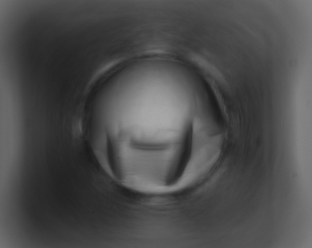 X0000100931166200807081206