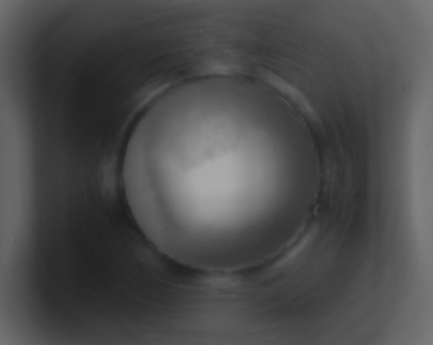 X0000100931170200807081206