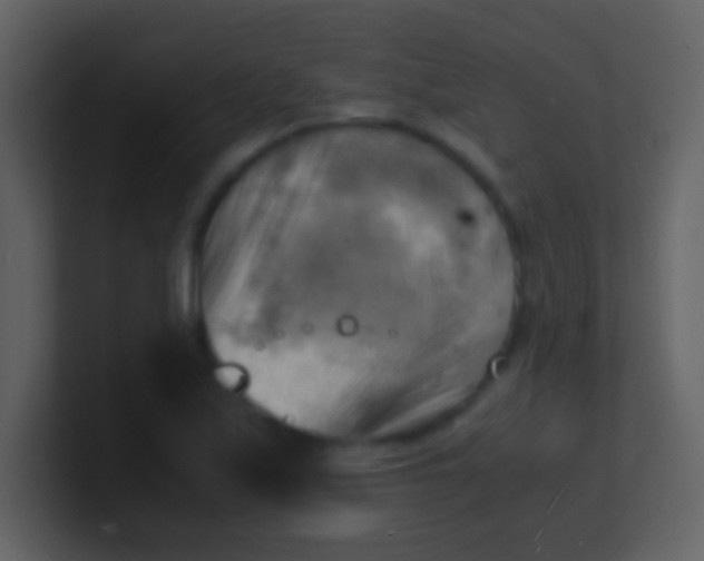 X0000100931171200807081206